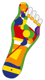 Fußreflexzonen Fußreflexzonen